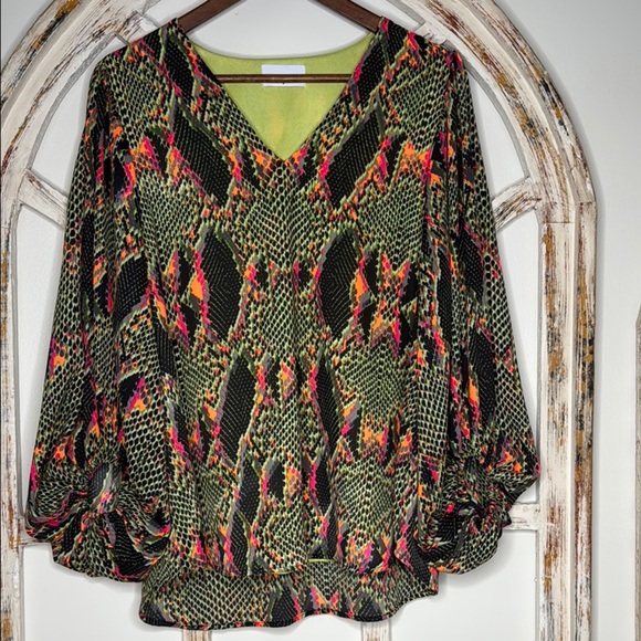 Adrienne Tops - Adrienne Multicolor Snake Print V-Neck Blouse